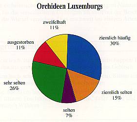 Orchideen Luxemburgs Grafik